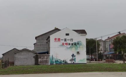 杭州新农村墙绘